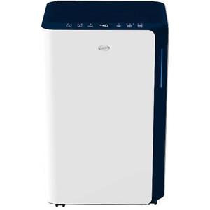 Argoclima NUOVO MODELLO Argoclima DEU DRY PURY EVO WF 21 20MQ Cod. 492000098 FINO A 12 LITRI/24 H