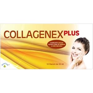 Oliverio Stilo Company Collagenex Plus - Integratore con Collagene e Acido Ialuronico, 10 Flaconi da 50 ml