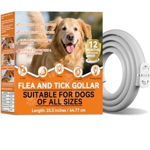 HuakChai Collare Antiparassitario per Cani, 8 mesi di protezione contro pulci, zecche e zanzare, collare antipulci regolabile e impermeabile per cani di piccola, media e grande taglia, 65 cm