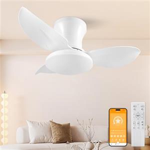 HaoDrisk Ventilatore da Soffitto con Luce, 65CM Ventilatore da Soffitto con Lampada e Telecomando, Silenzioso Lampadario con Ventilatore Dimmerabile 6 Velocità DC Reversibile Fan Lampada per Camera