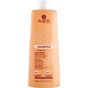 Pettenon Cosmetics Alama Shampoo Anti-Crespo Extra Gloss - 500 ml, Brillantezza e Liscio Impeccabile