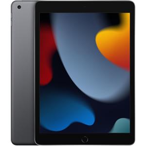 APPLE Tablet Apple iPad 10.2