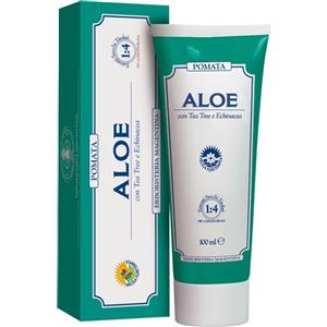 Erboristeria Magentina Aloe Pomata Eczemi 100 ml - con Tea Tree e Echinacea per lenire rossori e pruriti