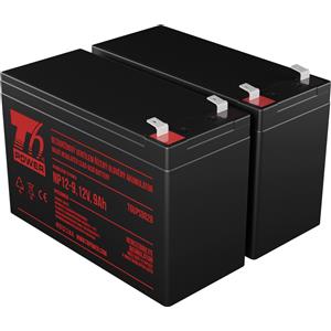 T6 Power Set di batterie T6 Power per Eaton 5P1150i, VRLA, 12 V