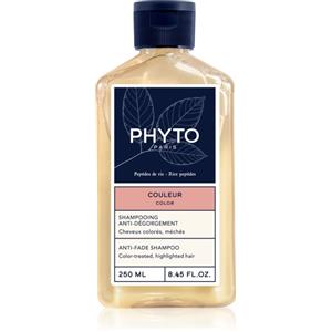 PHYTO Couleur Shampoo Protettivo del Colore 250ml - Deterge e Protegge i Capelli Colorati