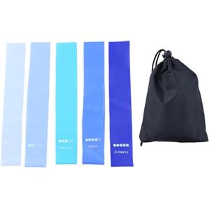 Daleweo Elastici Fitness Set 5 Pezzi TPE, Fascia Elastica Resistenza, Bande Elastiche Allenamento Casa, Palestra Yoga Pilates, Kit Esercizi Trazione Blu, Borsa