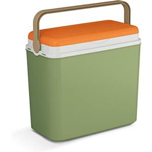 URBNLIVING Grande 10 - 36 litri scatole frigo campeggio spiaggia pranzo picnic cibo isolato - vari (24L)