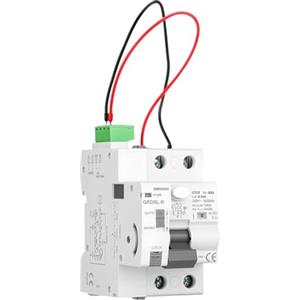 IGEYAPA 40A 30mA Salvavita Interruttore di Protezione da Perdite Tipo AC con Interruttore a 2 Poli 220V Interruttore di Sicurezza Intelligente Dispositivo di Protezione Differenziale a Bassa Tensione