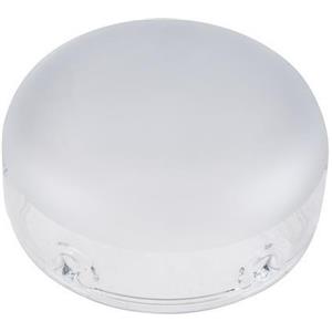 Godox Dome in Vetro Satinato per AD300Pro - Protezione e Diffusione della Luce