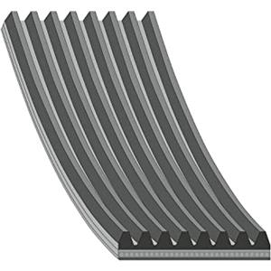 FEBI BILSTEIN Cinghia Ausiliaria 29058 - Lunghezza 1365 mm, Materiale EPDM, 8 Alette