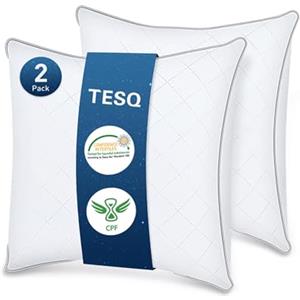 TESQ Cuscini Letto 60x60 cm Set di 2, Qualità Alberghiera di Lusso Cuscino Set 2 Cuscini Morbidi e Confortevoli, Traspiranti e Ipoallergenici Certificati Oeko-TEX, Adatti a Tutte le Posizioni di Sonno