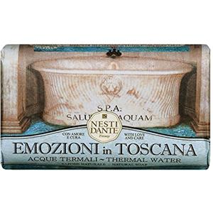 Nesti Dante Emozioni in Toscana - Sapone Solido 250g con Acque Termali e Ingredienti Naturali