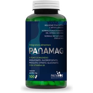 ISCIENZA Srl PANAMAG - Integratore alimentare con Magnesio e Vitamina B6, 100 capsule da 650 mg