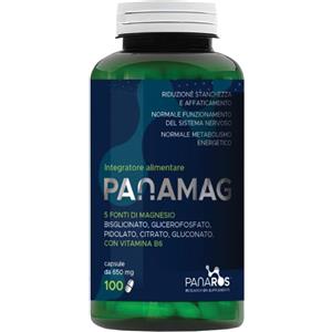 ISCIENZA Srl PANAMAG - Integratore alimentare con Magnesio e Vitamina B6, 100 capsule da 650 mg