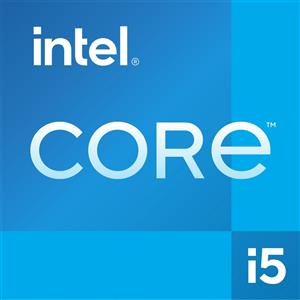 Intel Core i5-13400F processore 20 MB Cache CM8071504821107