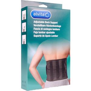 ALLIANCE HEALTHCARE IT.DIS.SpA ALVITA FASCIA LOMBARE 2
