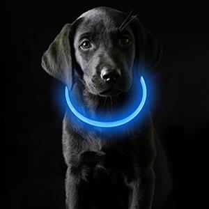 Coolzon Collare Luminoso per Cani USB Ricaricabile Impermeabile con 3 Modalità Di Luce, Regolabile Collare LED per Cani Gatti Taglia Piccola Media Grande, Blu