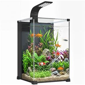 PawHut Acquario in Vetro Temperato 36L, Acquario Completo Piccolo Trasparente con Filtro Integrato, Luce LED e Pompa dell'Acqua per Pesci Tropicali, Pesci Rossi, Casa, Ufficio, 30x30x45.5 cm, Nero