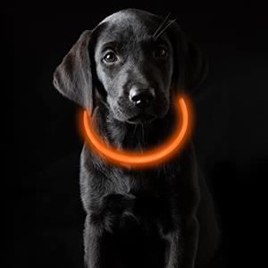 Coolzon Collare Luminoso per Cani USB Ricaricabile, Collare Cane LED Impermeabile con 3 Modalità Di Luce Regolabile per Cani Gatti Taglia Piccola Media Grande, Arancia