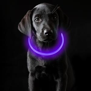 Coolzon Collare luminoso cane ricaricabile collare cane luce impermeabile con 3 modalità di luce regolabile lunghezza collare LED per cani gatti piccolo medio grande viola