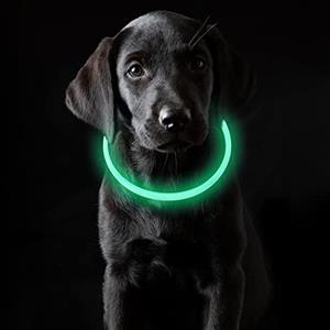 Coolzon Collare Luminoso per Cani USB Ricaricabile Impermeabile con 3 Modalità Di Luce Regolabile Collare LED per Cani Gatti Taglia Piccola Media Grande, Verde