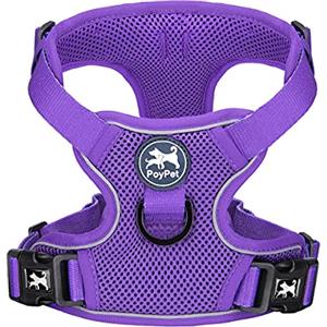 PoyPet Pettorina per cani riflettente, morbida e traspirante, in rete, anti-soffocamento, gilet doppiamente imbottito con collo e petto regolabili (viola, XS)