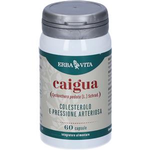 ERBA VITA GROUP SpA Erba Vita Monoplanta Caigua - Integratore Colesterolo e Pressione, 60 Capsule
