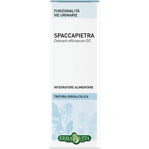 Erba Vita Group Spaccapietra Tintura Idroalcolica 50 ml - Integratore per la Funzionalità delle Vie Urinarie