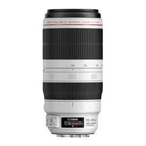 Canon obiettivo EF 100-400mm f/4,5-5,6 L IS II USM