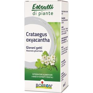 LABORATOIRES BOIRON SRL CRATAEGUS OXY MG 60ML INT