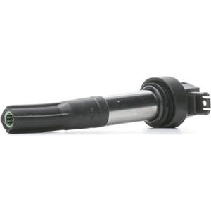 BERU Bobina di Accensione ZS386 per BMW Motorrad F 650 GS, F 800 GS/R/S/ST, K 1200 R Sport, K 1300 GT/R/S, R 1200 R
