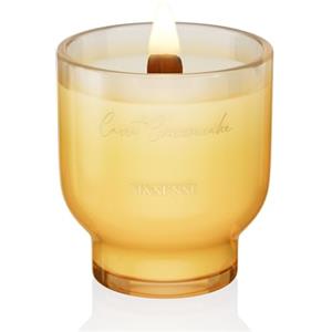 M&SENSE Candela Profumata 270g Torta di Carote e Formaggio con Stoppino Scoppiettante,75H Dura, Cera di Soia Non Tossico Candele, Vetro Design Room Decor, Regalo di Lusso per Donne/Natale