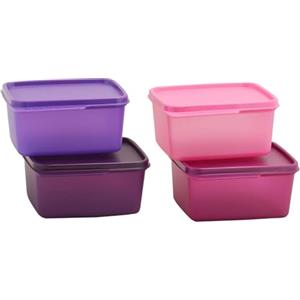 Tupperware Tupin Keep Tab Plastic Container Set (500 ml, Multicolour) -Set of 4
