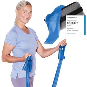 ARTZT - quality sports and health equipm TheraBand 2,50 m con ancoraggio per porta + borsa blu | resistenza 2,6 kg | fascia da ginnastica | fascia elastica | allenamento a casa, allenamento con la forza, esercizi per la schiena, terapia