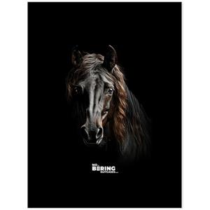 NoBoringSuitcases.com Valigia Bagaglio a Mano 55x40x20 cm, Trolley 10 kg (Cavallo Frisone - Nero)