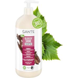 SANTE Naturkosmetik Glossy Shine - Shampoo con estratto di betulla biologico + complesso proteico a 3 strati, cura dei capelli vegani e idratante per una maggiore lucentezza e morbidezza, con delicato