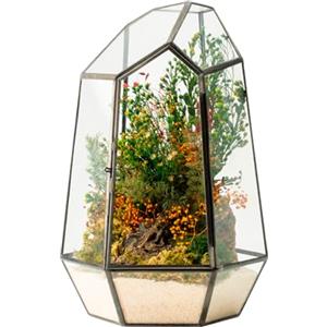 WabiFlur Terrario Stabilizzato Hyde in Vetro Forma Diamond, completi di Fiori e muschi Stabilizzati Arredo Naturale Elegante Senza Manutenzione per Casa, Ufficio e Idee Regalo Green