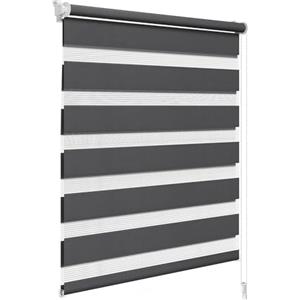 WOLTU Tenda a Rullo per interni Doppio Strato Giorno e Notte, Fissaggio a Morsetto Senza Foratura 65l x 150A cm Antracite, Tenda Traslucida e Oscurante per Finestra o Porta