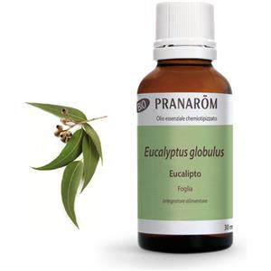 Pranarom Olio Essenziale Eucalipto 30 ml - Antivirale, Antimicotico, Antibatterico ed Espettorante