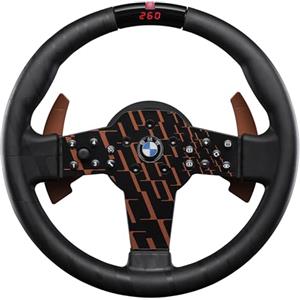 FANATEC CSL Volante da Corsa Con BMW Sim - Impugnatura Gommata, LED RevStripe, Menu di Messa a Punto, Leva del Cambio in Metallo per PC, PS5, PS4