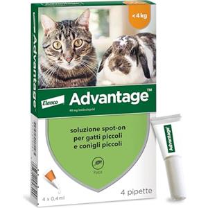 Elanco Advantage Soluzione Spot On per Gatti e Conigli Piccoli, 40 mg, 4 Pipette