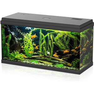 Aqpet Acquario Completo 100L in Vetro con Filtro, Luce LED e Riscaldatore per Pesci Tropicali