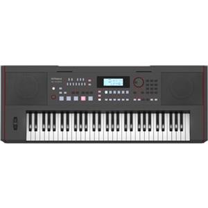 Roland E-X50 Tastiera Arranger Elettronica - Facile da usare | Speaker Stereo | Bluetooth | Suoni Roland Professionali | Ingresso Microfonico | Funzione di Accompagnamento Automatico