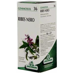 Specchiasol Gemmosol 36 Ribes Nero - Integratore Alimentare 50ml per il Benessere delle Prime Vie Respiratorie