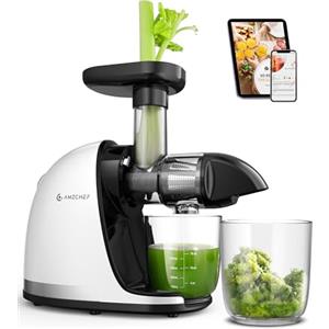 AMZCHEF Estrattore di Succo a Freddo AMZCHEF - Estrattore Silenzioso con Funzione Inversa per Frutta e Verdura | Include Brocca e Spazzola di Pulizia (150 W, Argento)