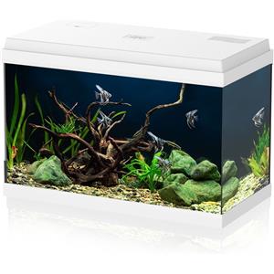 Aqpet Simply LED 60 Acquario Completo Con Illuminazione Led, Filtro e Riscaldatore Colore Bianco 60L