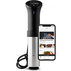 Anova Precision Cooker 2.0, [AN500-EU00] Cooker per Cottura Sous Vide, WiFi, 100 Watt, Spina di tipo C per utilizzo in EU, App Anova Inclusa, Nero e Argento