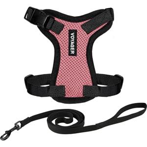 Best Pet Supplies Voyager Step-in Lock Pettorina per Gatti con Guinzaglio Riflettente e Impugnatura in Neoprene by Best Pet Supplies - per Gatti di Taglia Piccola, Media e Grande, Rosa / Bordo Nero, XXS - 1,5 m