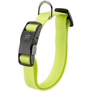 Ferplast Collare per Cani EVOLUTION C16/32 con Fibbia Magnetica, Ipoallergenico, Lavabile, Verde