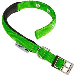 Ferplast Collare Cane Taglia Media Collare per Cani in Nylon Imbottito Regolabile Fibbia Metallica, Misura Collo 32-39 cm, Verde